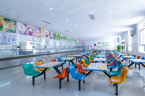 中国专家学者就新疆问题同中荷媒体交流 中国专家学者就新疆问题同中荷媒体交流